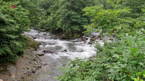 photo 1099128