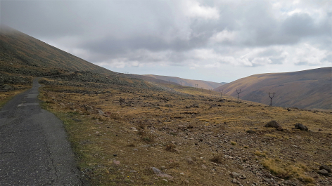 photo 1713224