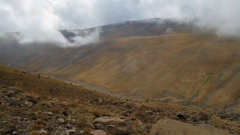 photo 1713226