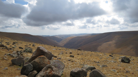 photo 1713231