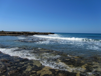 photo 881970