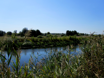 photo 678467