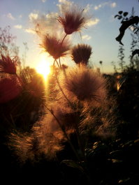 photo 678471