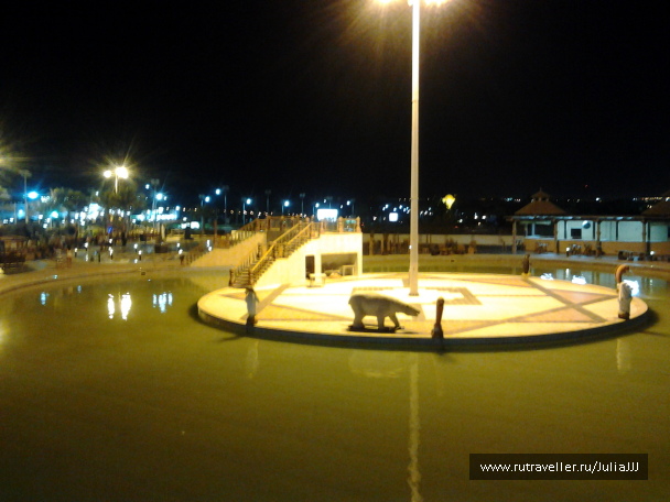 photo 1144587