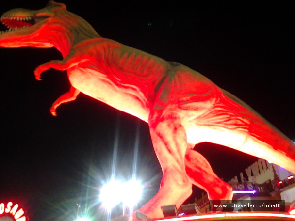 photo 1144591