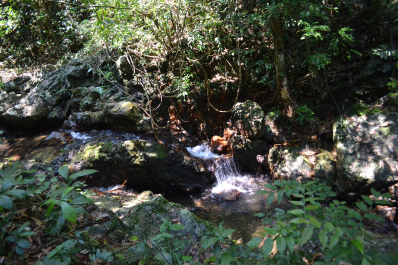 photo 1532299