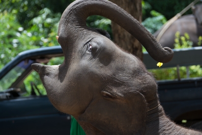 photo 455487