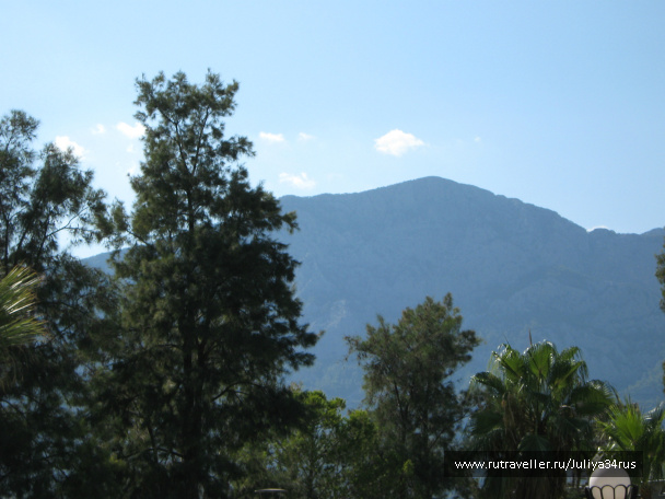 photo 141469