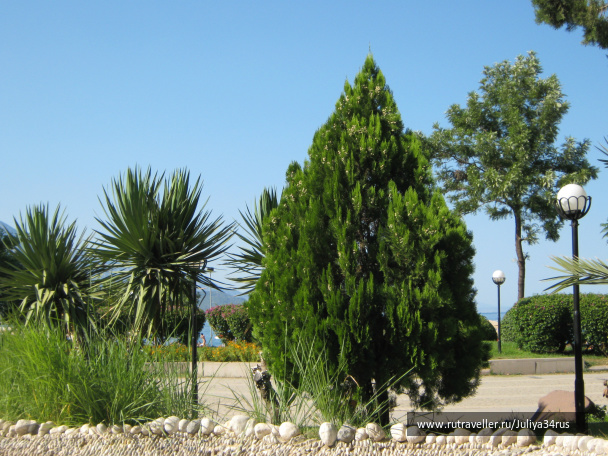 photo 141471