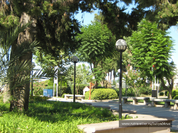 photo 141472