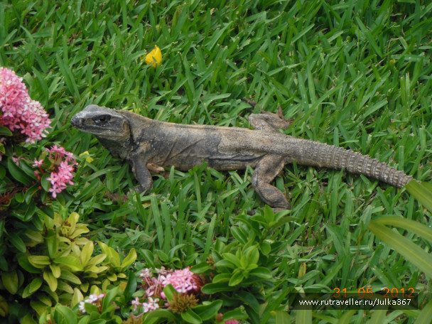 photo 236804