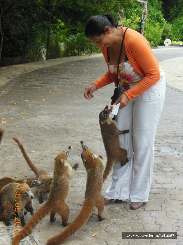 photo 236805