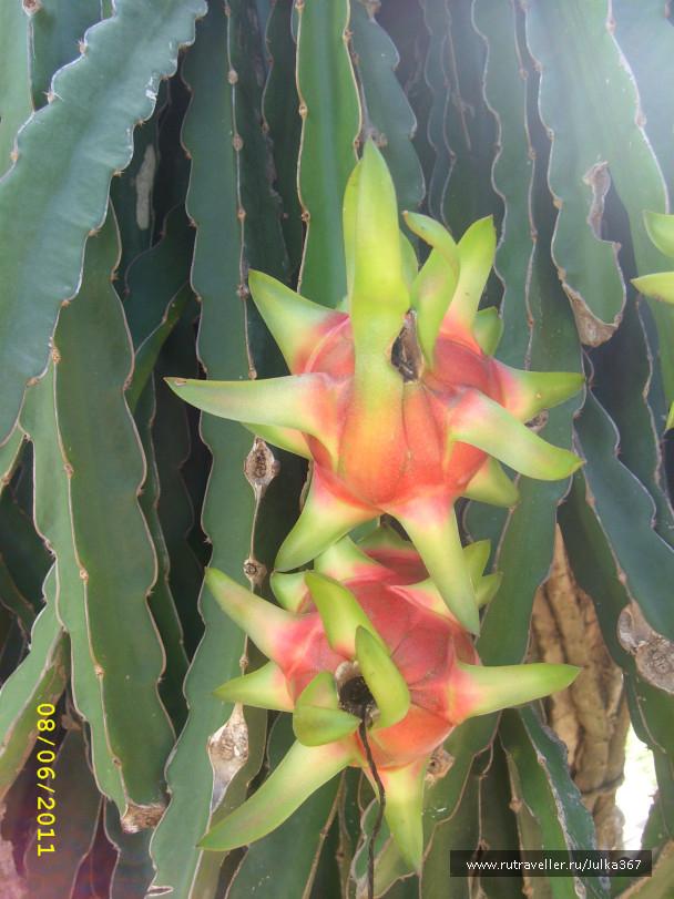 photo 236950