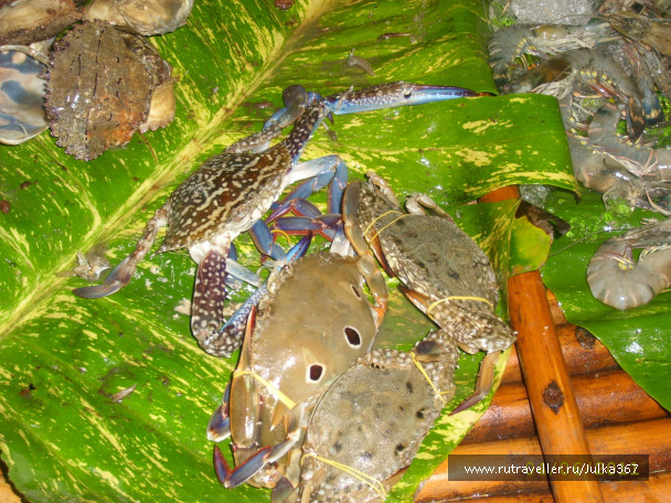 photo 236959