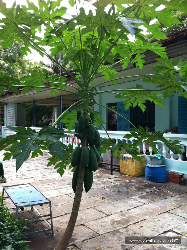 photo 236963