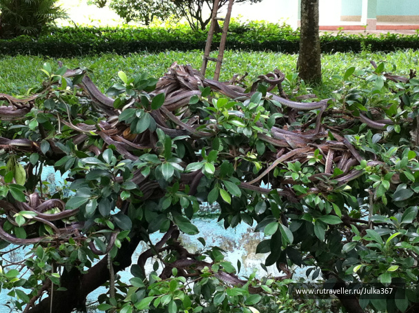 photo 236965