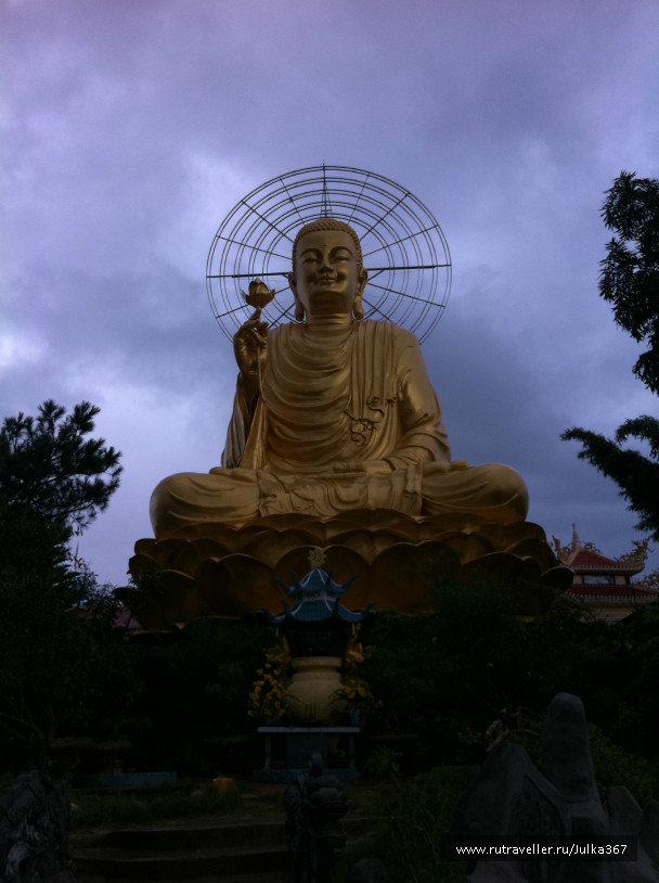 photo 236969
