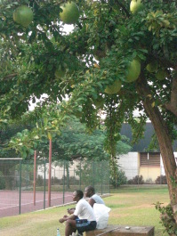 photo 81686