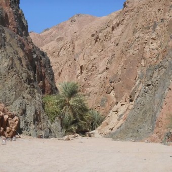 Экскурсия в Дахаб от sharmalsheikh.ru 