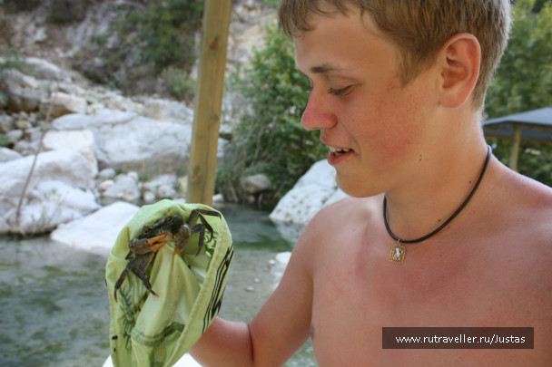 photo 443075