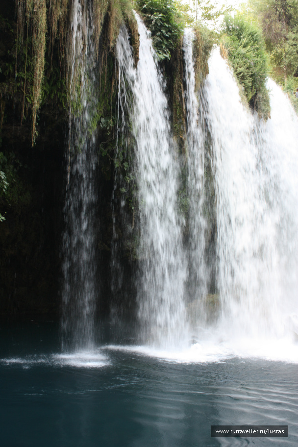 photo 461324