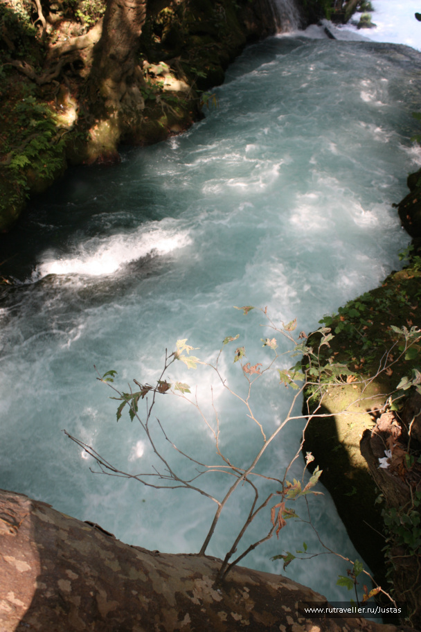 photo 462462