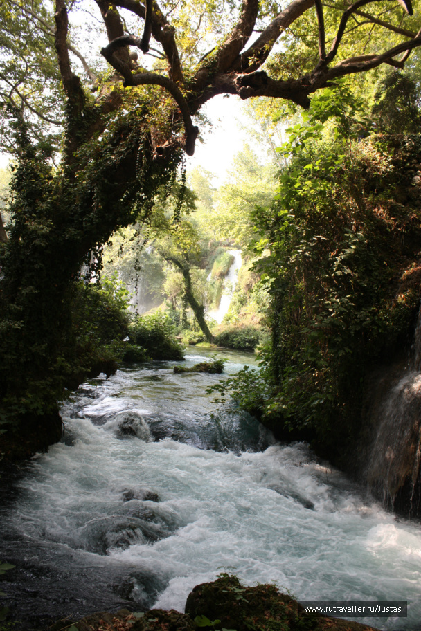 photo 480467