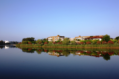 photo 1341439