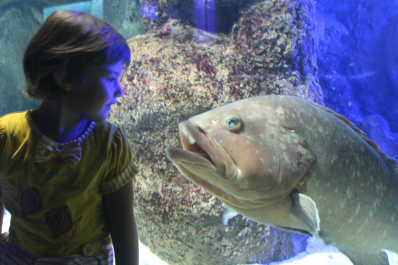 photo 434779