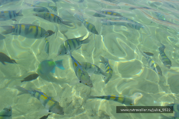 photo 612069