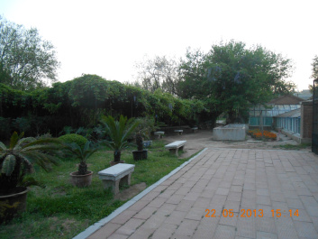 photo 385468