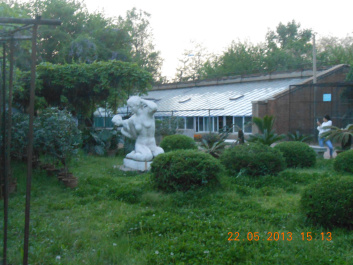 photo 385470
