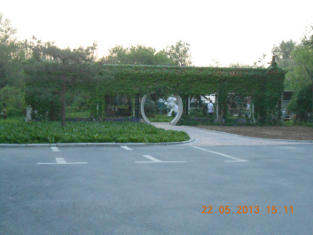 photo 385471