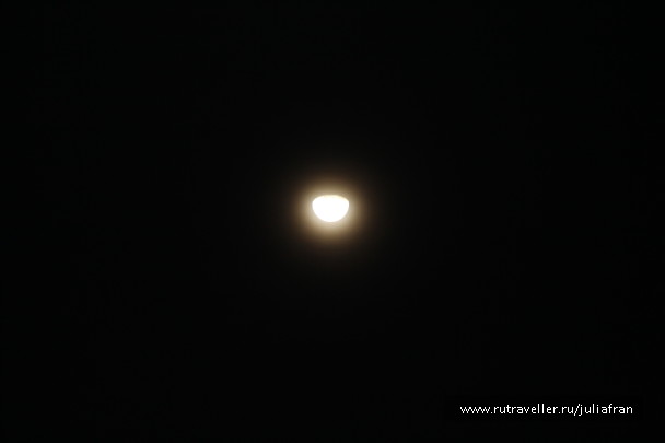 photo 600991