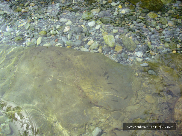 photo 365362