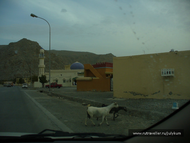 photo 365388
