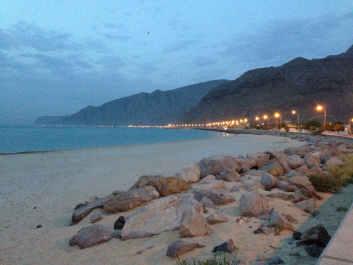 photo 365534
