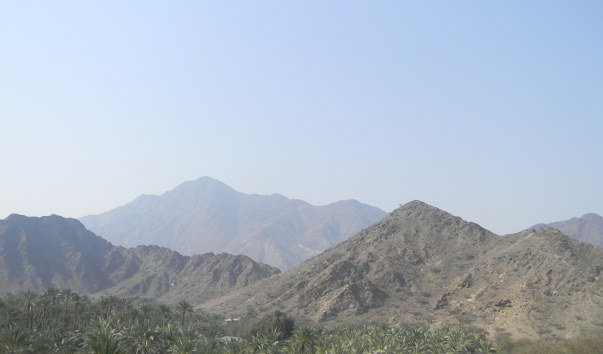 DSCN4840