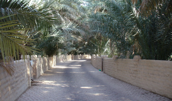 P1130064