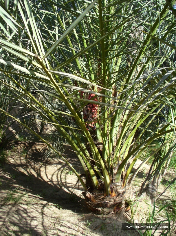 photo 566837