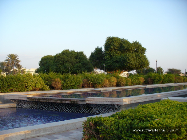 photo 567102