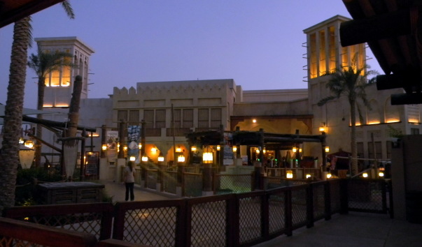 DSCN5330