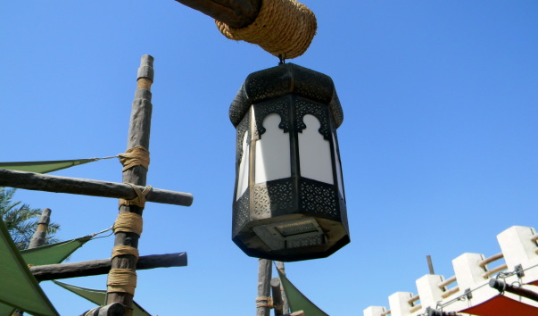 DSCN5288