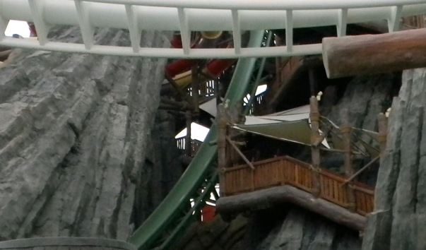 DSCN5315