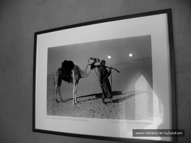 photo 585663