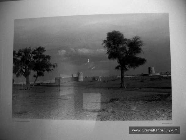 photo 585664