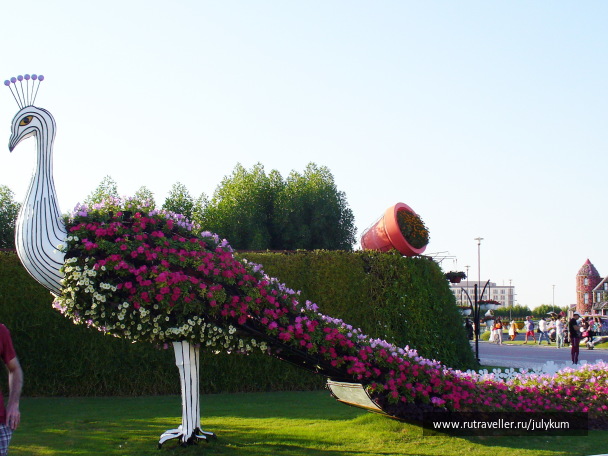 photo 605369