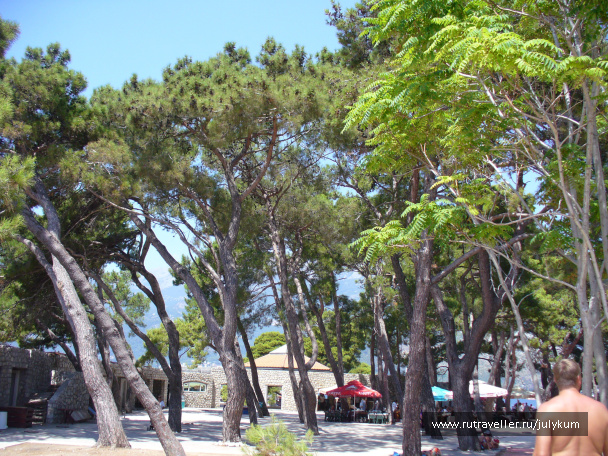 photo 461790