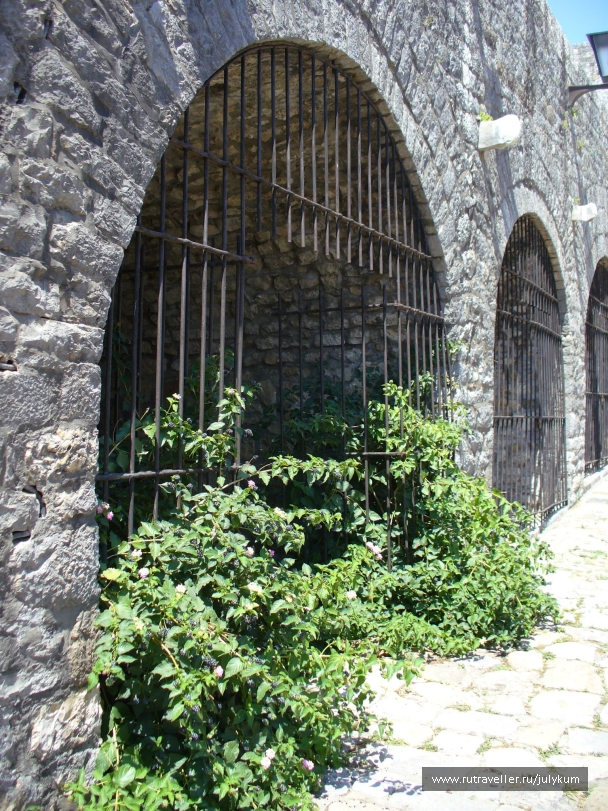 photo 461874