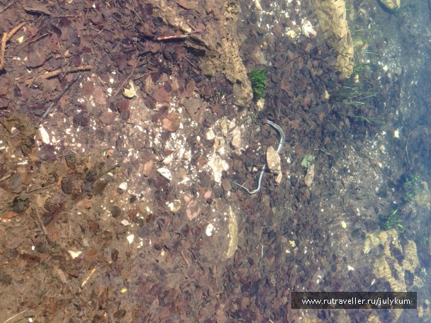 photo 462227